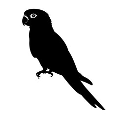 Black silhouette of a parrot. (2)