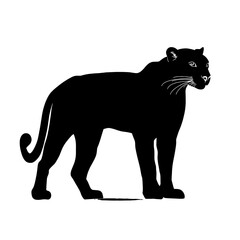 Obraz premium Black panther silhouette. (4)