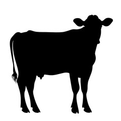 Black silhouette of a calf.