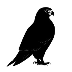 Black silhouette of a falcon. (2)