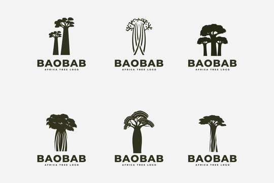 Baobab tree logo icon design template flat vector