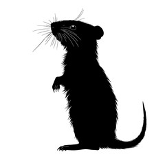 Black silhouette of a rodent standing.