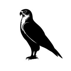 Black silhouette of a falcon. (5)