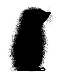 Cute hedgehog silhouette. (1)