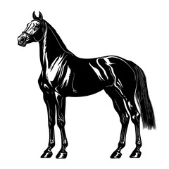 Black and white illustration of a horse.