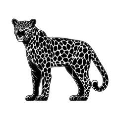Black and white jaguar illustration. (1)