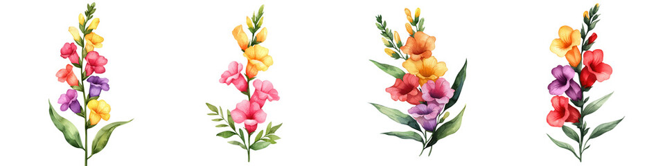 Naklejka premium Colorful snapdragon flowers with tall spikes and lush green leaves, isolated on transparent background.