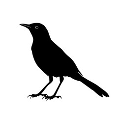 Black silhouette of a bird.