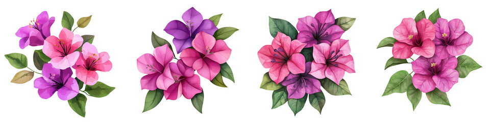Bright watercolor bougainvillea flowers in various colors and arrangements, isolated on transparent background.