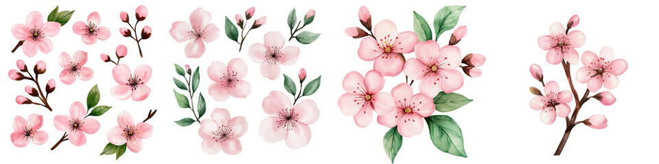Naklejka premium Soft pink cherry blossoms with delicate leaves create serene atmosphere, isolated on transparent background.