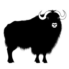 Muskox silhouette.