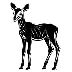 Black and white illustration of a young antelope.
