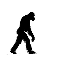 Fototapeta premium Silhouette of a bipedal ape walking.