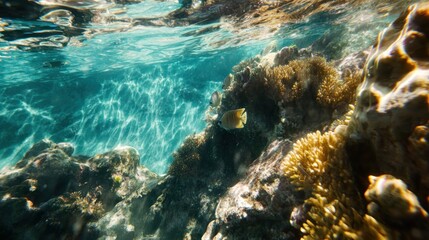 Naklejka na ściany i meble Underwater scene of vibrant coral reef with fish, sunlight filtering through water.