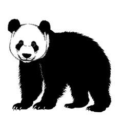 Black and white illustration of a panda.