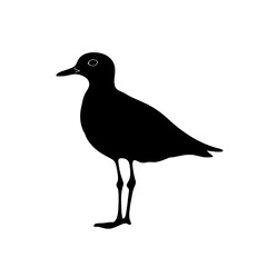 Black silhouette of a bird. (1)