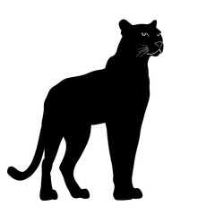 Black panther silhouette. (3)