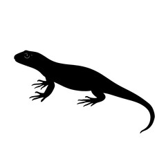 Black silhouette of a lizard. (4)