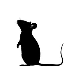Black silhouette of a mouse standing on its hind legs. (1)