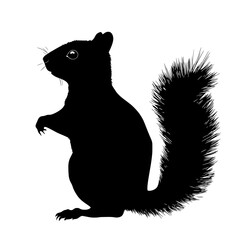 Black silhouette of a squirrel.
