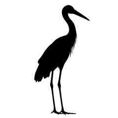 Obraz premium Black silhouette of a heron.