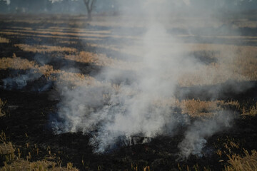 Crop stubble burning in field, Fire in agricultural land, Stubble fire causing pollution, Farmers burning crop residue, Field burning with smoke, Agricultural waste fire in India, Air pollution. 