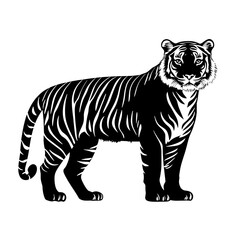 Obraz premium Black and white tiger illustration.