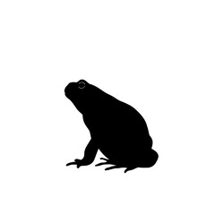 Black silhouette of a frog.