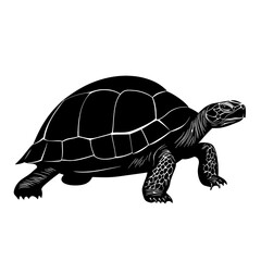 Black silhouette of a turtle.