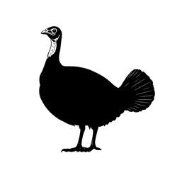 Black silhouette of a Guineafowl.