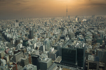 東京のビル群