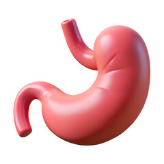 human stomach anatomy 3d render icon in cartoon plastic style minimal isolated on transparent white background, clipping path