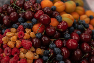 A close-up view of a variety of fresh berries, including blueberries, raspberries, blackberries