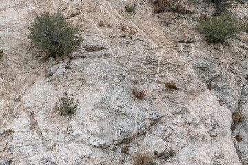 San Gabriel Mountains, Los Angeles County, California. Quartz Diorite / Gray quartz diorite / Plutonic rocks. complexly intruded by dikes, sills and pods of leucogranitic rocks