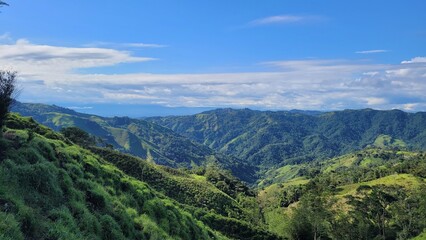 Naklejka premium Naturaleza: impacto negativo de la agricultura en el pasaje del bosque nativo