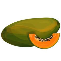 Papaya fruit illustration, healthy food 
