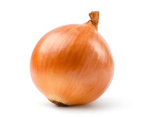 Onion bulb isolated on white background. Clipping path.
