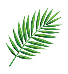 Coconut palm leaf vector cartoon illustration