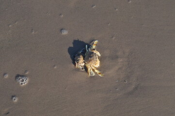 sea ​​and sand beautiful sunlight
