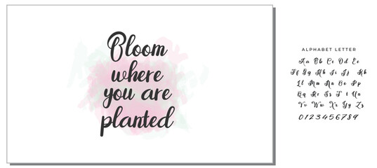 Hand drawn holiday lettering. Ink illustration. Modern brush calligraphy. Isolated on white background. Bloom where you are planted.