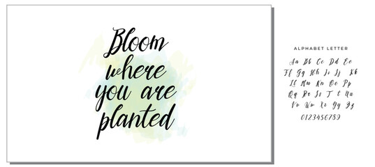 Hand drawn holiday lettering. Ink illustration. Modern brush calligraphy. Isolated on white background. Bloom where you are planted.