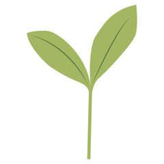 Tropical Leaves in Green Color Design. Vector Illustration Isolated on White Background