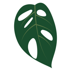 Obraz premium Tropical Leaves in Green Color Design. Vector Illustration Isolated on White Background