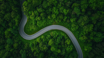 Winding Path Through Lush Forest: A serene aerial view of a winding road meandering through a vibrant green forest, showcasing the beauty of nature's intricate patterns.  