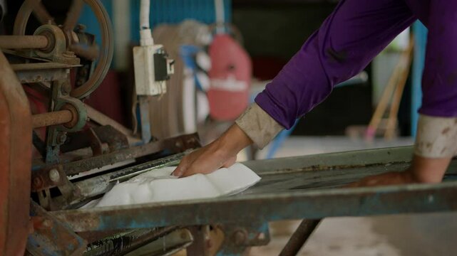 Rubber tree Hevea brasiliensis produces latex.Rubber Harvesting and Processing. How to process natural rubber (latex) in the farm. Rubber tree plantation in Thailand.