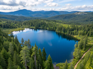 lake in the mountains. lake, mountain, landscape, water, nature, forest, mountains, sky, reflection, canada, park, tree, snow, travel, river, scenic, green, national, trees, outdoors, summer, national