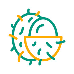 Rambutan Icon