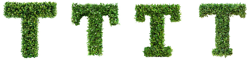 Collection of Green Letter Shapes Made from Lush Leaves for Natural Decor Ideas