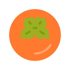 Persimmon Icon