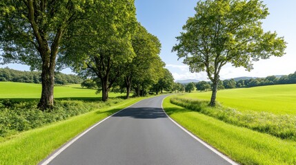 Obraz premium Scenic winding road lined with trees and lush green fields.